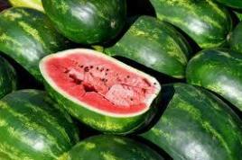gallery/6. Watermelon